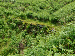 
Stone embankment, Pant Glas, Cwmbyrgwm, June 2013